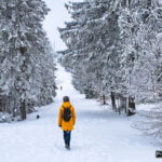 Beskid Śląski zimą - Szlak na Szyndzielnię