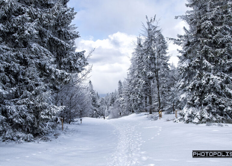 Beskid Śląski zimą - Szlak na Klimczok