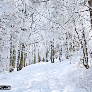 Beskid Śląski zimą - Szlak na Klimczok